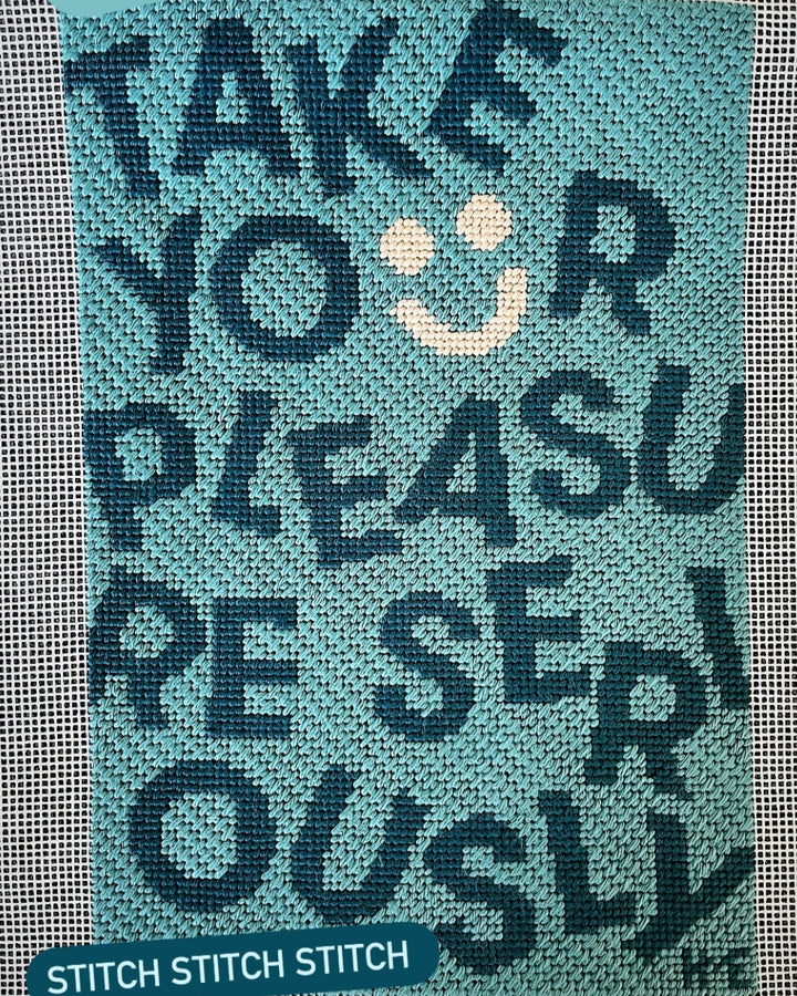 "Take Your Pleasure Seriously" Needlepoint Kit